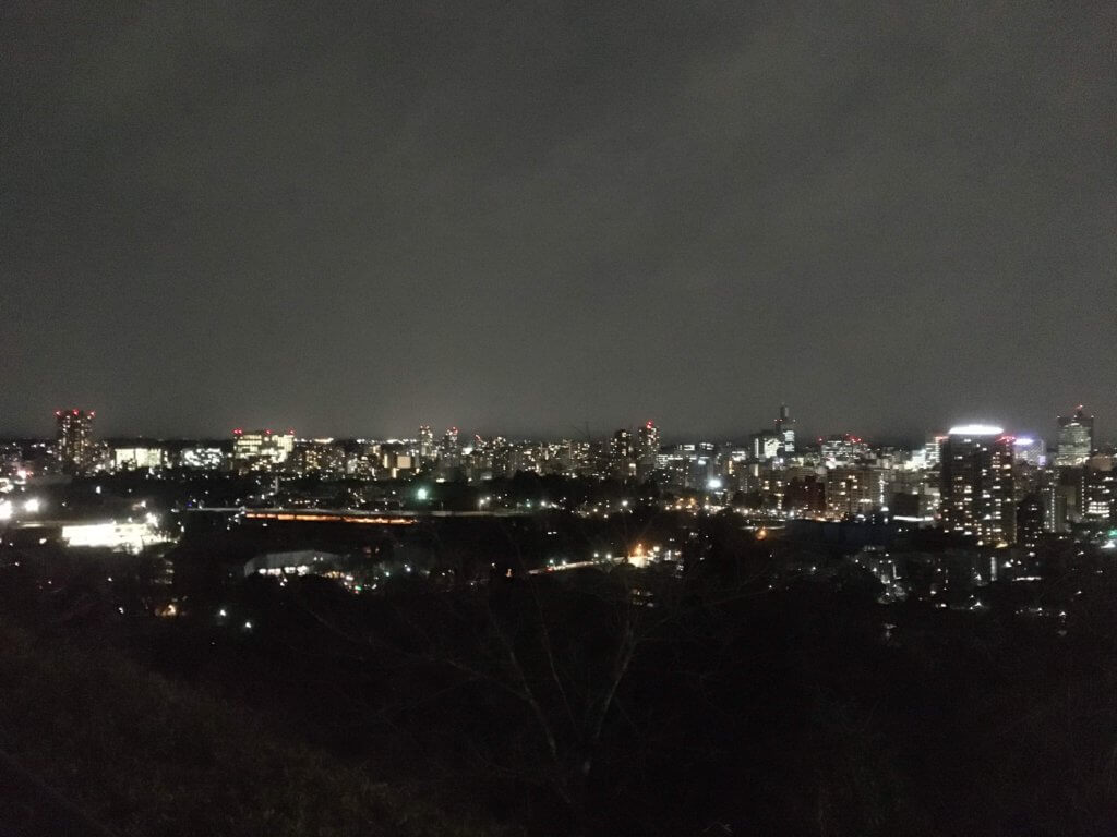 仙台城跡夜景